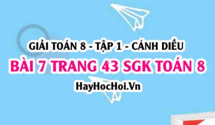 Giải bài 7 trang 43 Toán 8 Tập 1 SGK Cánh Diều